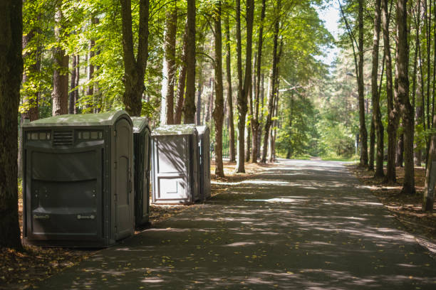 Best Portable bathroom rental  in Trumansburg, NY
